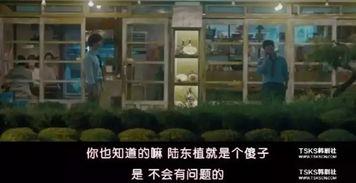 豆瓣吃瓜集中楼,揭秘网络热议背后的真实故事